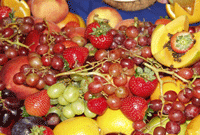 colorful fruits in season
