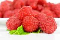 summer fruits from the food group